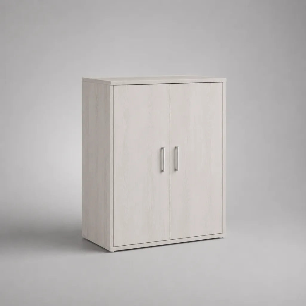 Meuble à chaussures blanc en panneaux de particules, 2 portes et 4 étagères réglables, 80 × 35 × 100 cm